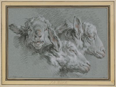 Three Sheep Heads, Awake and Sleeping by Jean-Baptiste Huet