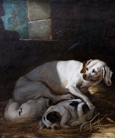 Dog Nursing Her Young by Jean-Baptiste Oudry