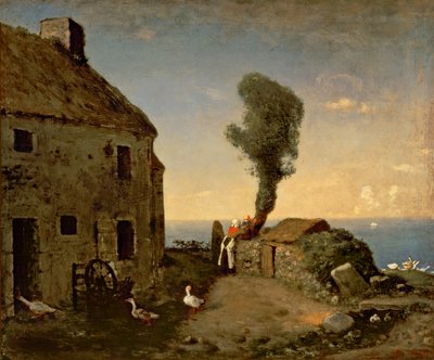 Millet