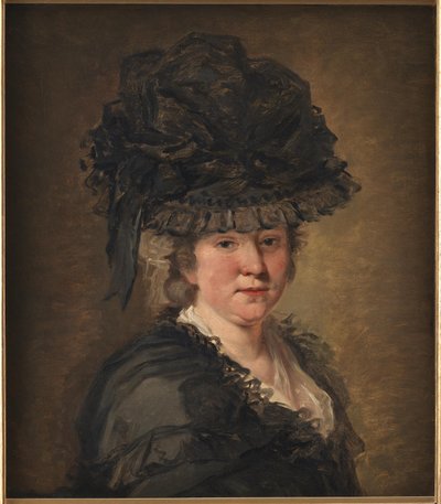 Portrait of a Lady by Jean-Honore Fragonard