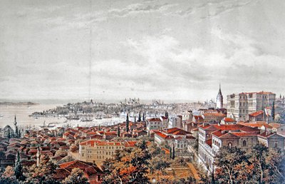 General View of Constantinople, c.1850 by Jean (after) Brindesi