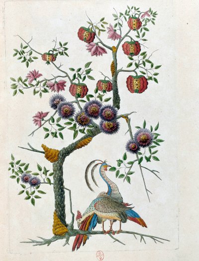 Drawing from a Chinese vase: bird and branch of flowers by Jean Antoine Fraisse