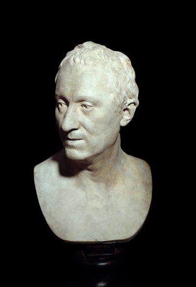 Terracotta bust of the philosopher Denis Diderot (1713-1784) by Jean Antoine Houdon