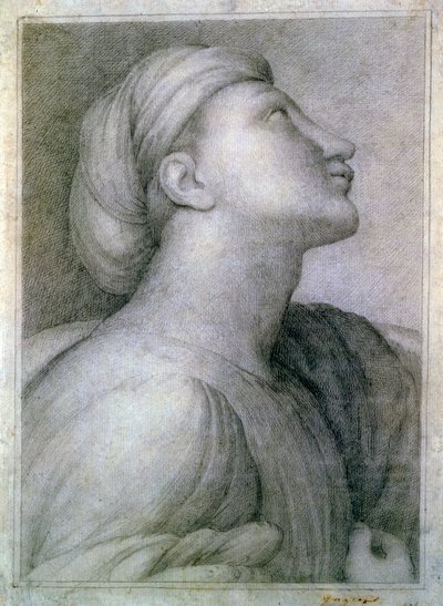 Face Profile by Jean Auguste Dominique Ingres