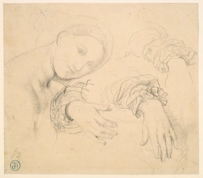 Sheet of Studies with the Head of the Fornarina and Hands of Madame de Senonnes by Jean Auguste Dominique Ingres