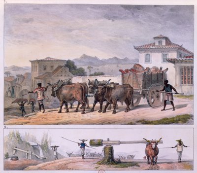 Transporting Meat and Taming an Ox by Jean Baptiste (after) Debret