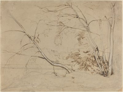 Clump of Trees at Civita Castellana by Jean Baptiste Camille Corot