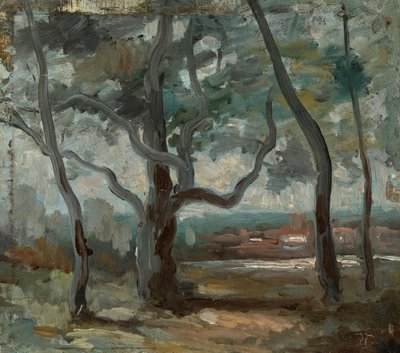 The Great Tree (Study) by Jean Baptiste Camille Corot