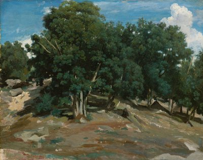 Fontainebleau: Oak Trees at Bas-Bréau by Jean Baptiste Camille Corot