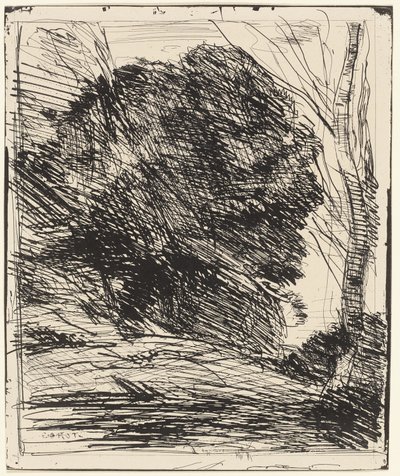 Trees on a Mountainside by Jean Baptiste Camille Corot