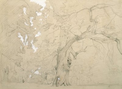 Young Man in Front of a Great Oak by Jean Baptiste Camille Corot