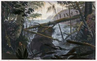 Indians crossing the Parahiba river by Jean Baptiste Debret