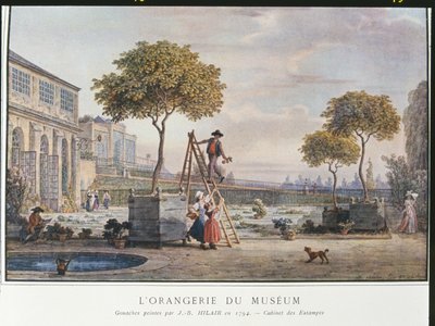 The Orangerie at the Museum in Paris in 1794 by Jean Baptiste Hilair