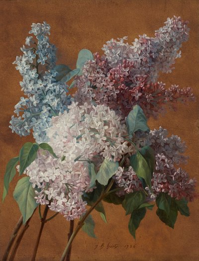 A Study of Lilacs by Jean-Baptiste Huet