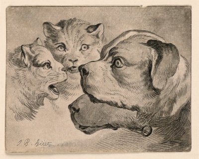 Heads of Cats and Dogs by Jean Baptiste Huet