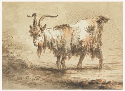 Study of a Goat, 1772 by Jean-Baptiste Huet