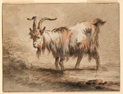 Study of a Goat, 1772 by Jean-Baptiste Huet