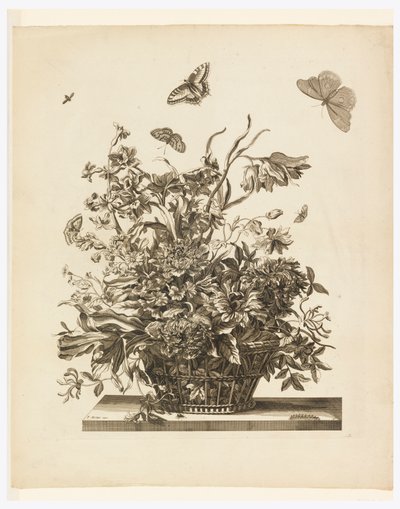 Plate 10, from set of Flowers in a Basket by Jean Baptiste Monnoyer