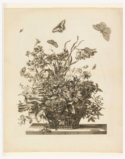 Plate 10, from set of Flowers in a Basket by Jean Baptiste Monnoyer