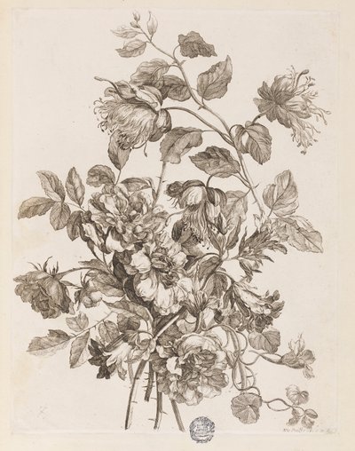 Plate from 