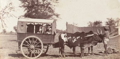 Campbell Twins in a Shigram, Governor General