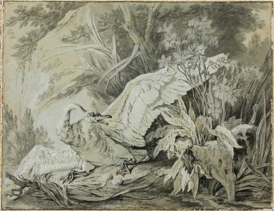 A Wild Swan Attacked by a Dog by Jean Baptiste Oudry