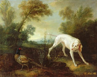 Blanche, Bitch of the Royal Hunting Pack by Jean Baptiste Oudry