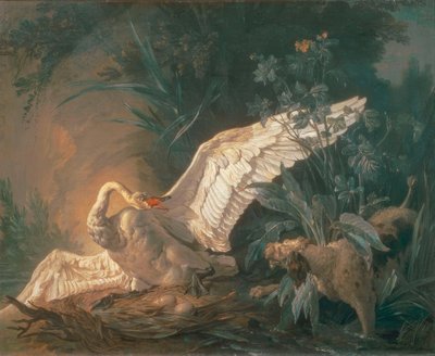 Barbet Dog Attacking a Swan in Its Nest by Jean Baptiste Oudry