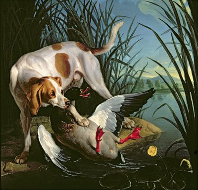 Dog with a Wild Duck by Jean Baptiste Oudry