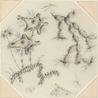 Bamboo Flowers and Cactus by Jean Baptiste Pillement
