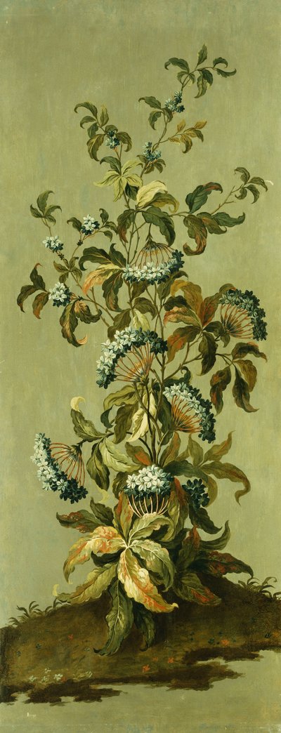 Decorative Panels with Flowers by Jean Baptiste Pillement