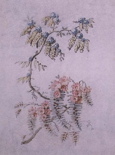 Decorative Study of Flowers and Berries by Jean Baptiste Pillement