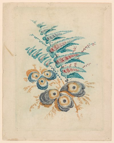 Fantastic Flower Motif from Nouvelle Suitte de Cahiers de Fleurs Idéales by Jean Baptiste Pillement