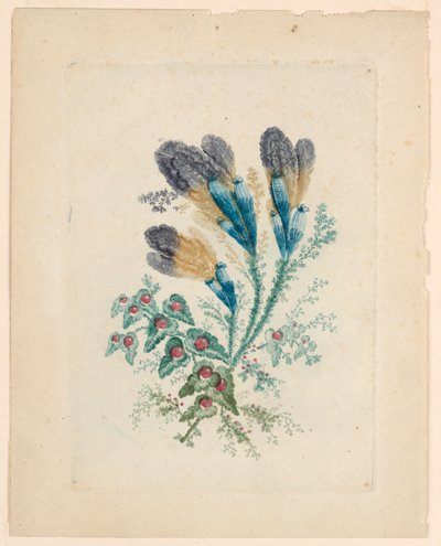 Fantastic Flower Motif from "Nouvelle Suitte de Cahiers de fleurs idéales" by Jean Baptiste Pillement