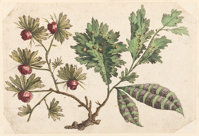 Flower Bough, from 