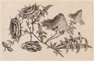 Flower Bough, from "Recueil de Fleurs Chinois" by Jean Baptiste Pillement