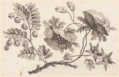 Flower Bough, from "Recueil de Fleurs Chinois" by Jean Baptiste Pillement