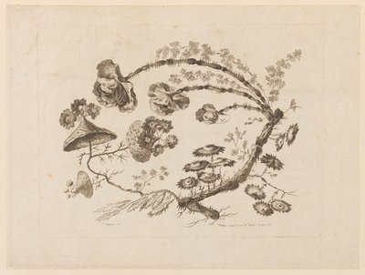 Flower Boughs, from "Collection of Different Fantasy Flowers in the Chinese Taste" by Jean Baptiste Pillement