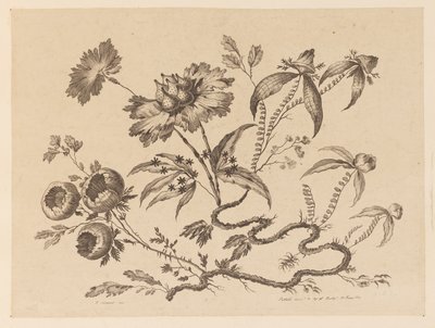 Flower Boughs, from "Recueil de Differentes Fleurs de Fantaisie Dans le Goût Chinois" by Jean Baptiste Pillement