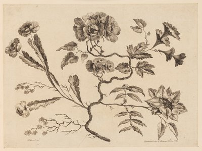 Flower Boughs, from 