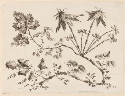 Flower Boughs, from "Recueil de Differentes Fleurs de Fantaisie Dans le Goût Chinois" by Jean Baptiste Pillement