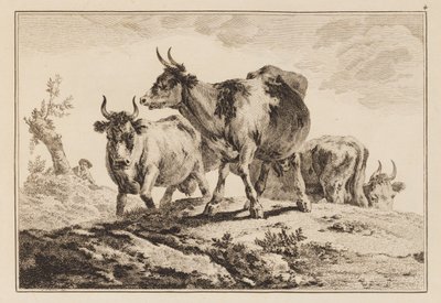 Plate 4, from "Notebook of Six Sheets of Oxen and Cows" by Jean Baptiste Pillement
