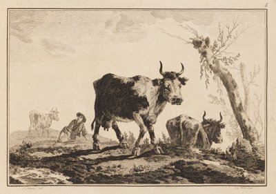 Plate 5, 