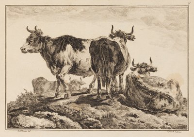 Plate 6, from 