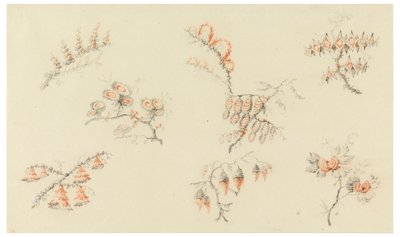 Sprays of Seven Ideal Flowers and of One Quasi Naturalistic Flower by Jean Baptiste Pillement