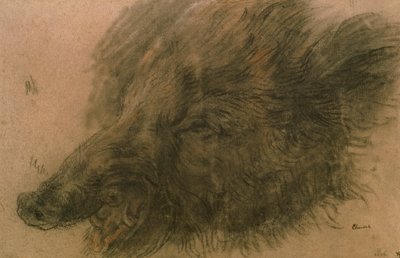 Head of a Wild Boar by Jean Baptiste Simeon Chardin