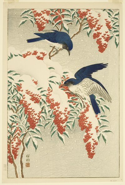Flycatchers on Snow-covered Nandina by Jean Baptiste Thonesse