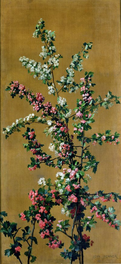 Japanese Cherry Tree and Hawthorn Branches by Jean Benner