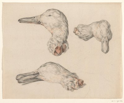 Severed Head of a Duck by Jean Bernard