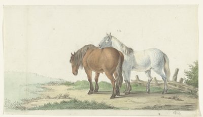 A Brown and White Horse on a Road Next to a Fence by Jean Bernard